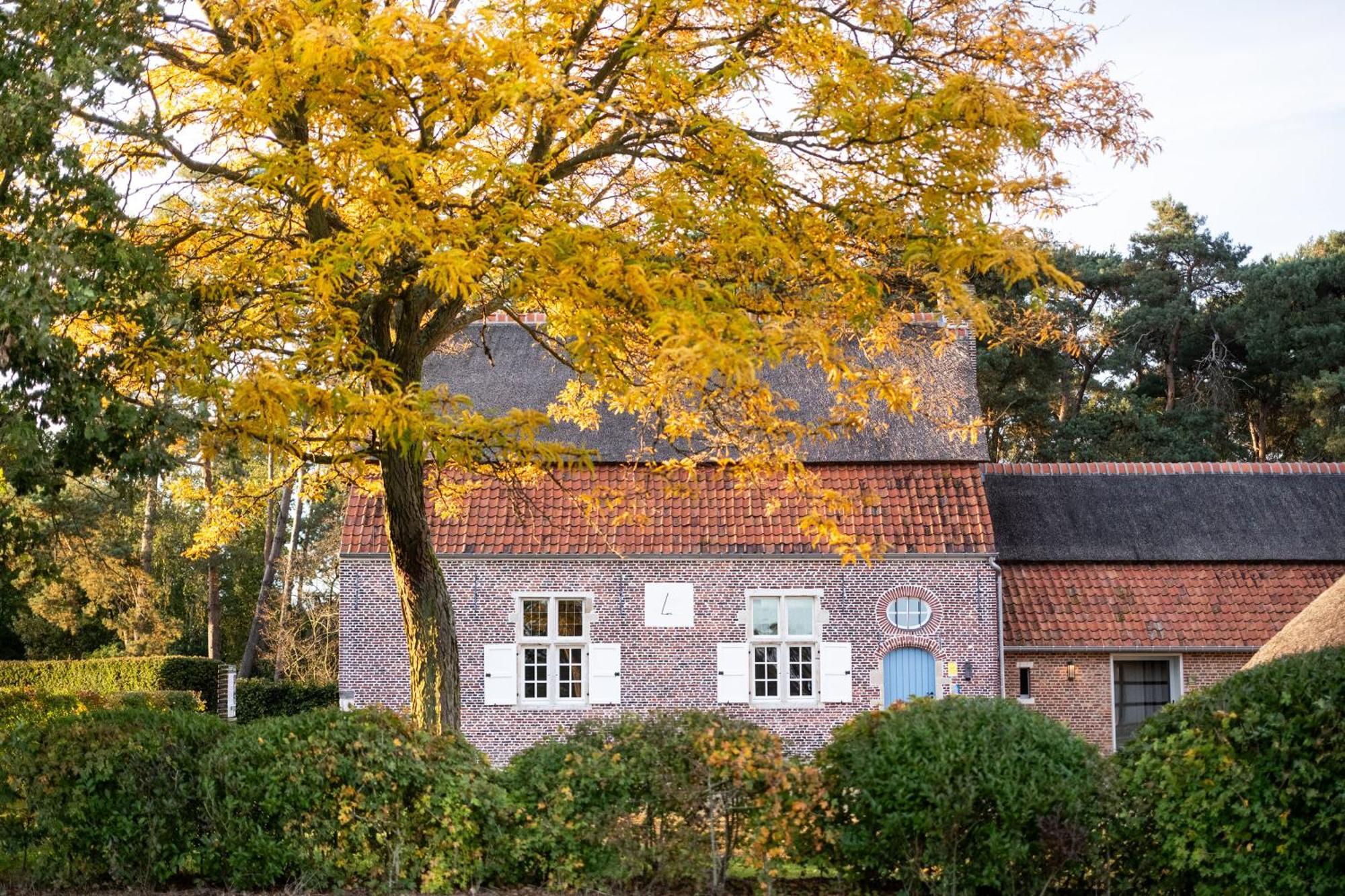 Beddermolen - Molenhuis Op Historisch Erfgoeddomein Westerlo Kültér fotó
