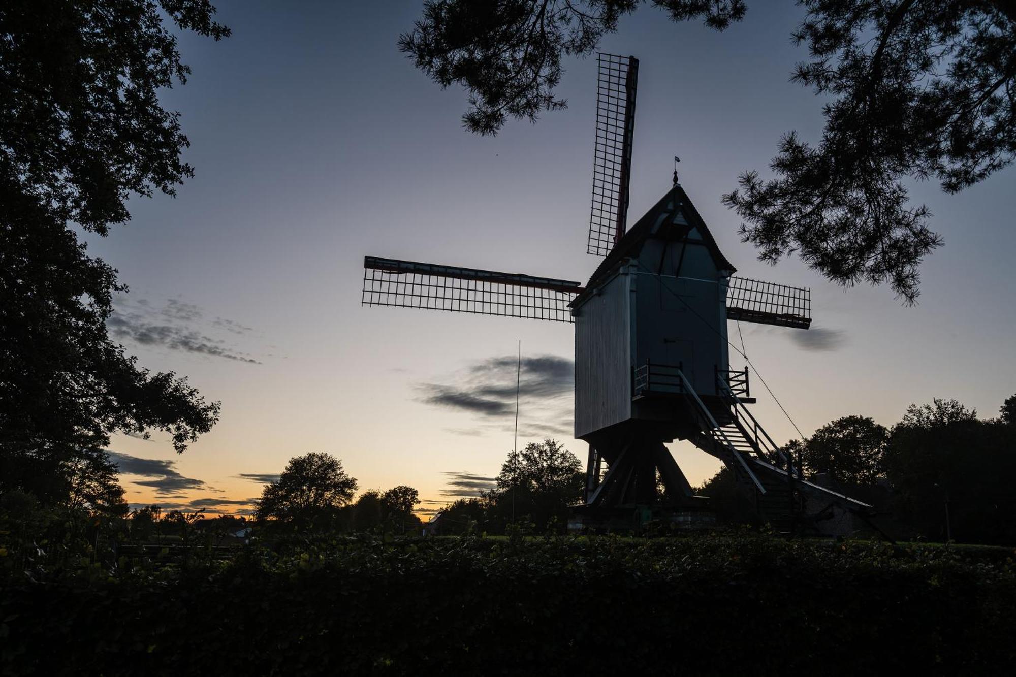 Beddermolen - Molenhuis Op Historisch Erfgoeddomein Westerlo Kültér fotó